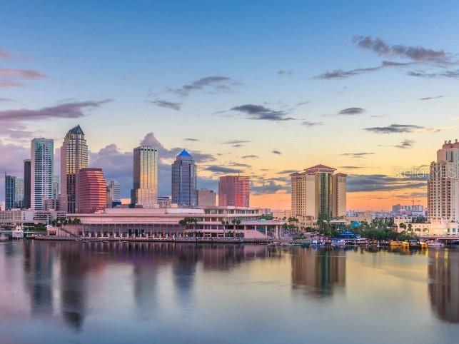 10670 Ironwood Tree Way San Antonio FL 33576 O6362874 image18