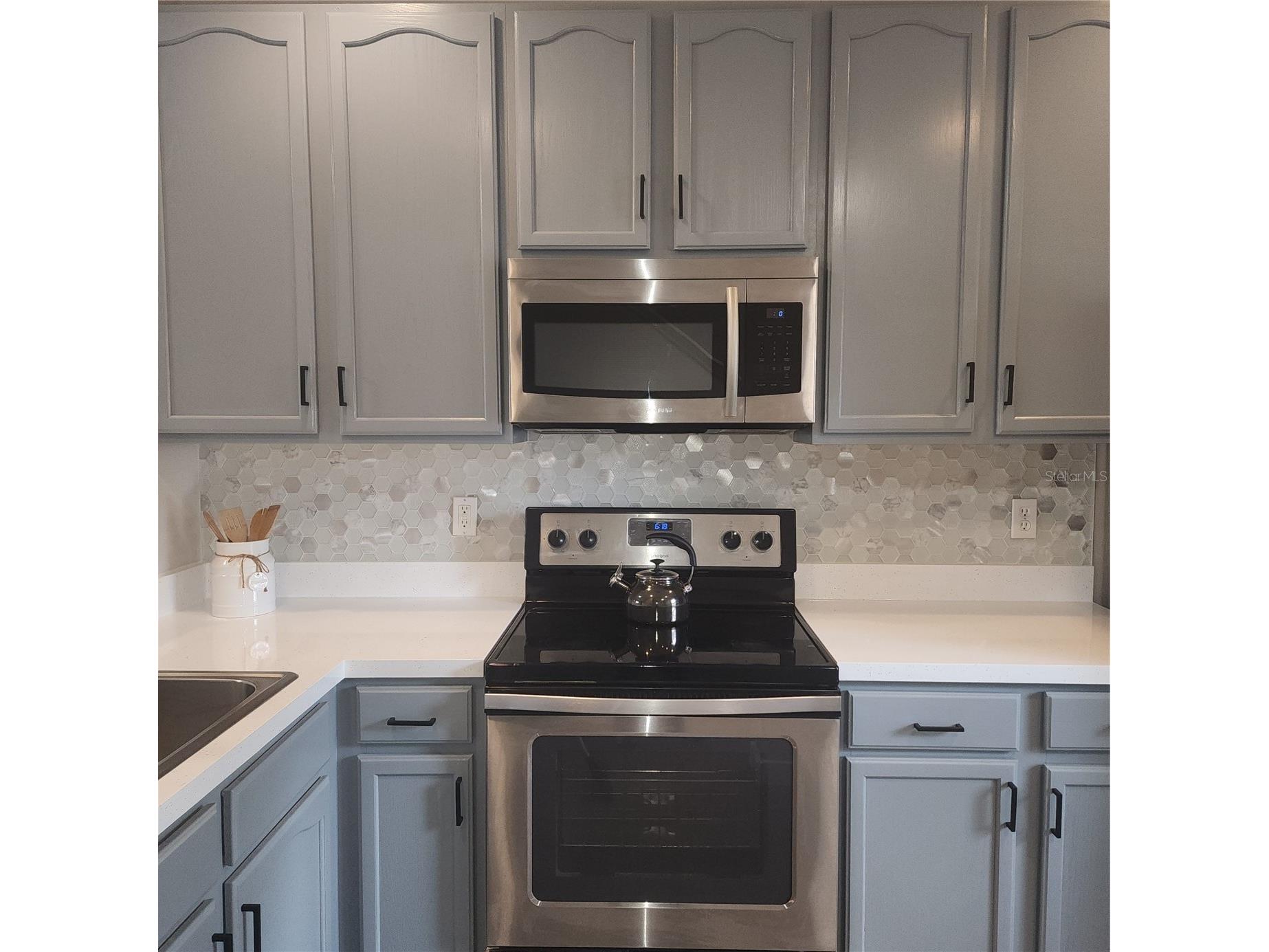 10672 Savannah Wood Drive #101 Orlando FL 32832 O6387334 image8