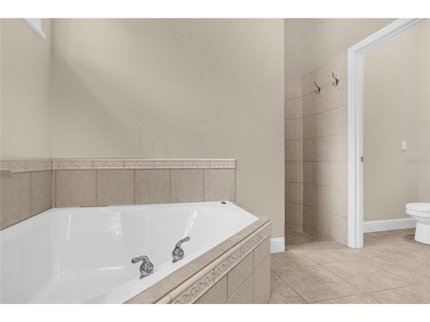 10674 Woodchase Circle Orlando FL 32836 O6395686 image29