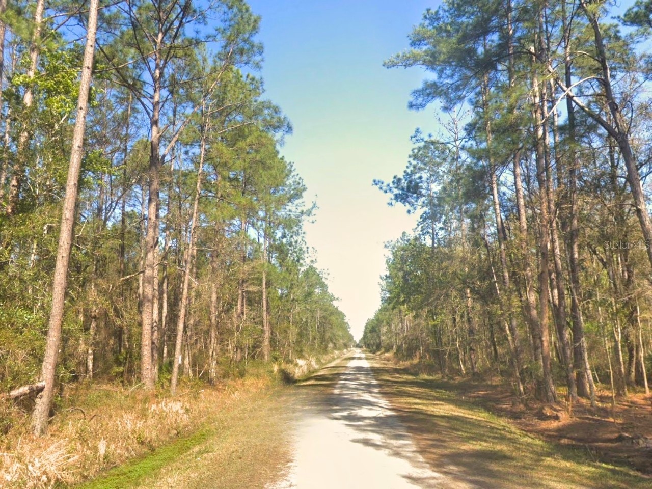 10675 Delgado Avenue Hastings FL 32145 OM721084 image3