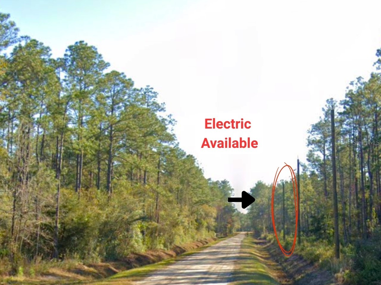 10675 Delgado Avenue Hastings FL 32145 OM721084 image5