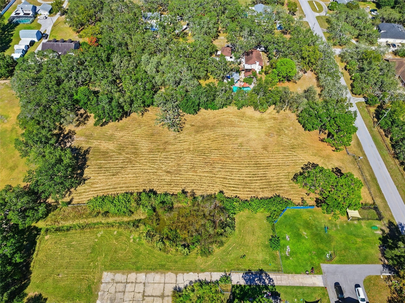 10675 Hilltop Drive New Port Richey FL 34654 TB8423409 image13