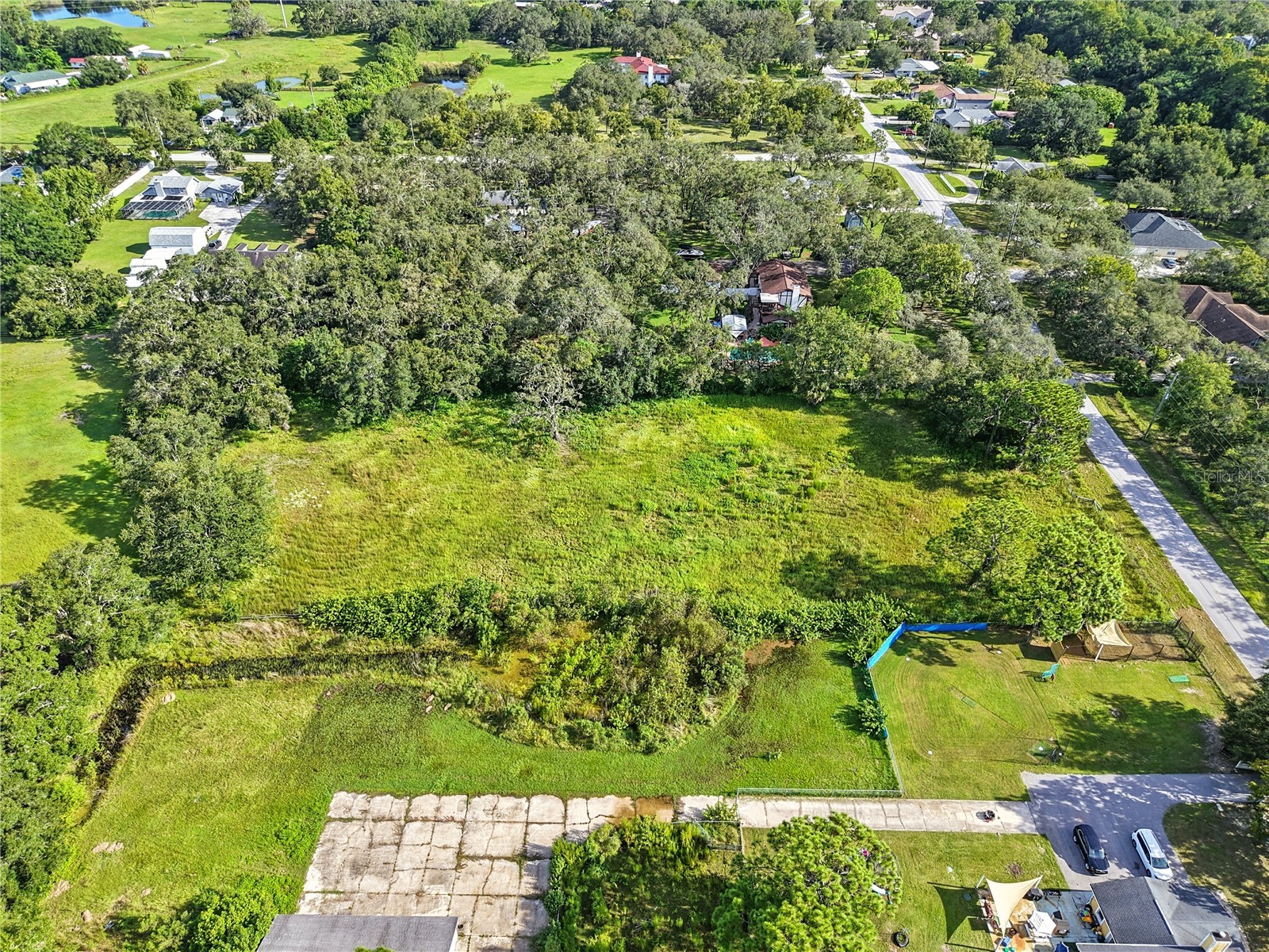 10675 Hilltop Drive New Port Richey FL 34654 TB8423409 image14