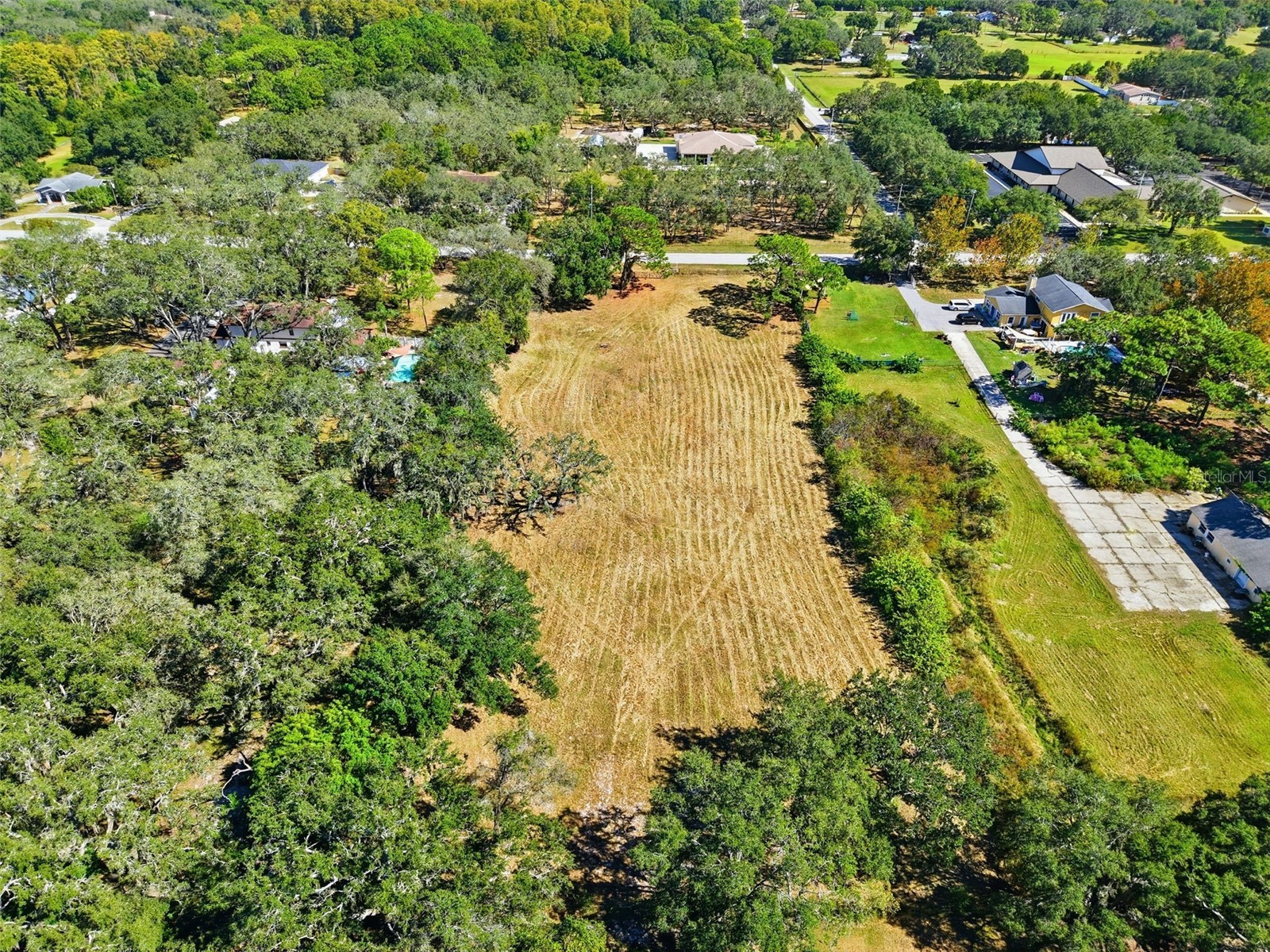 10675 Hilltop Drive New Port Richey FL 34654 TB8423409 image4