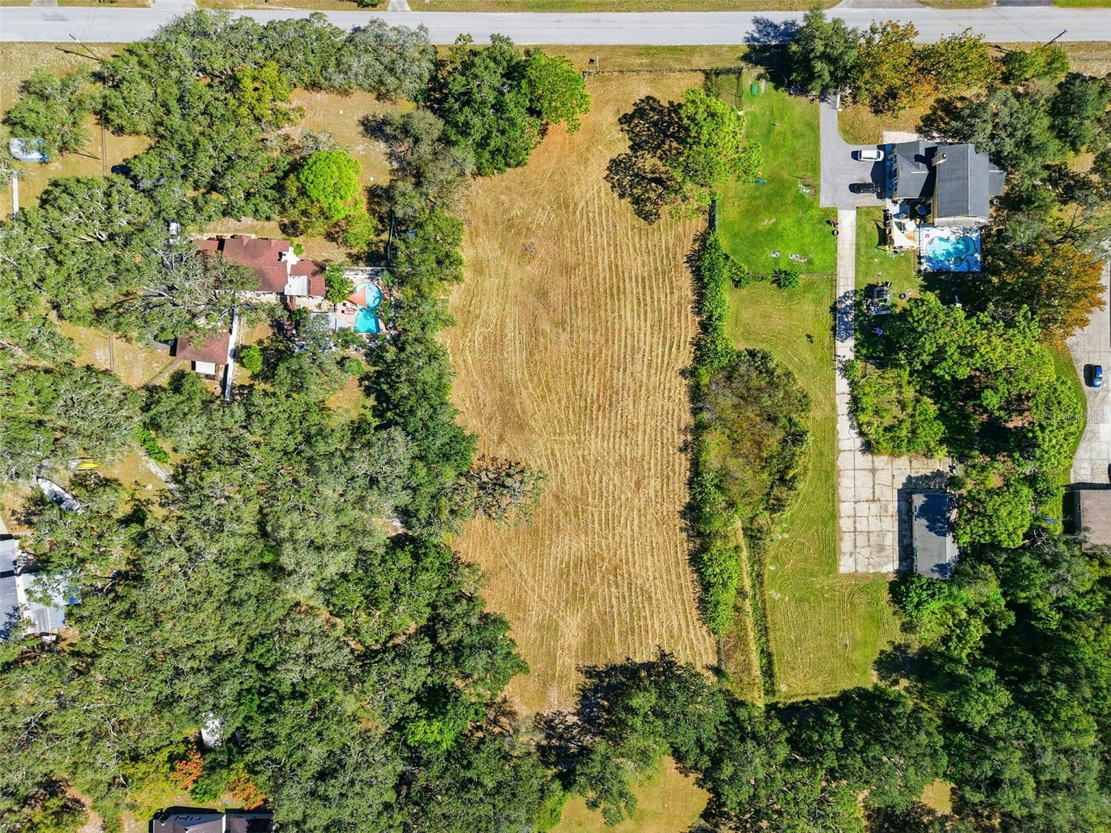 10675 Hilltop Drive New Port Richey FL 34654 TB8423409 image5