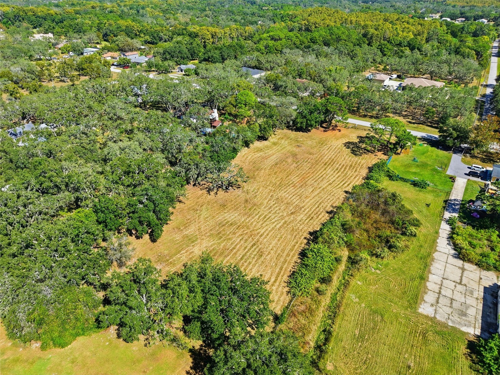 10675 Hilltop Drive New Port Richey FL 34654 TB8423409 image7