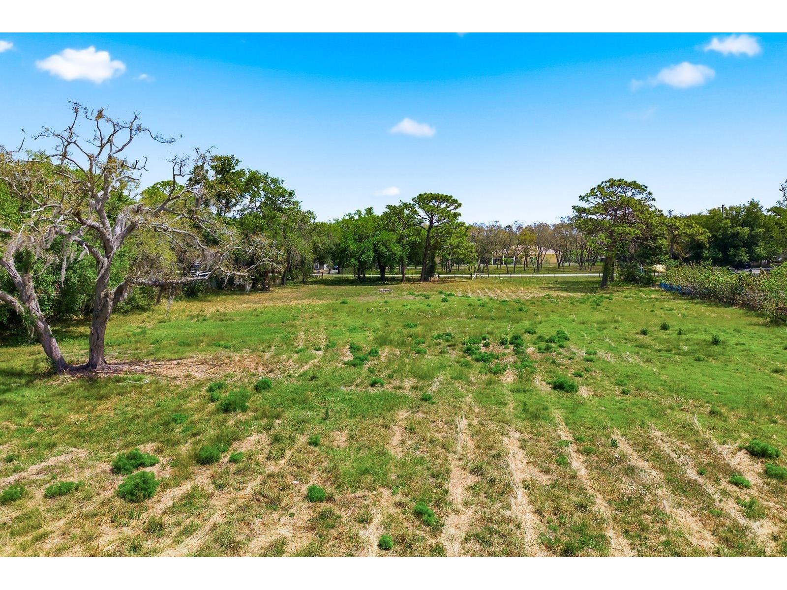 10675 Hilltop Drive New Port Richey FL 34654 TB8494069 image7