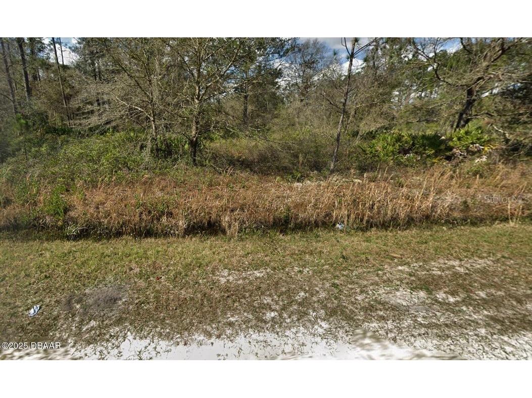 10675 Weatherby Avenue Hastings FL 32145 V4944456 image1