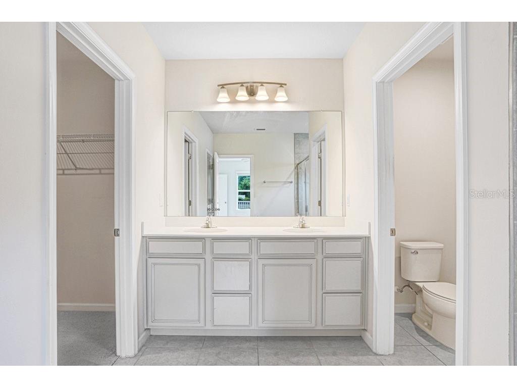 10677 Gliding Eagle Way Land O Lakes FL 34638 TB8507706 image24