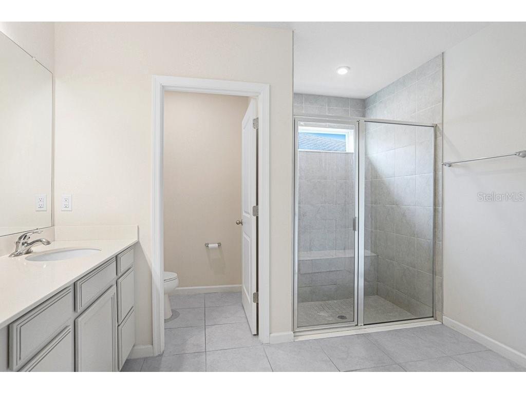 10677 Gliding Eagle Way Land O Lakes FL 34638 TB8507706 image25