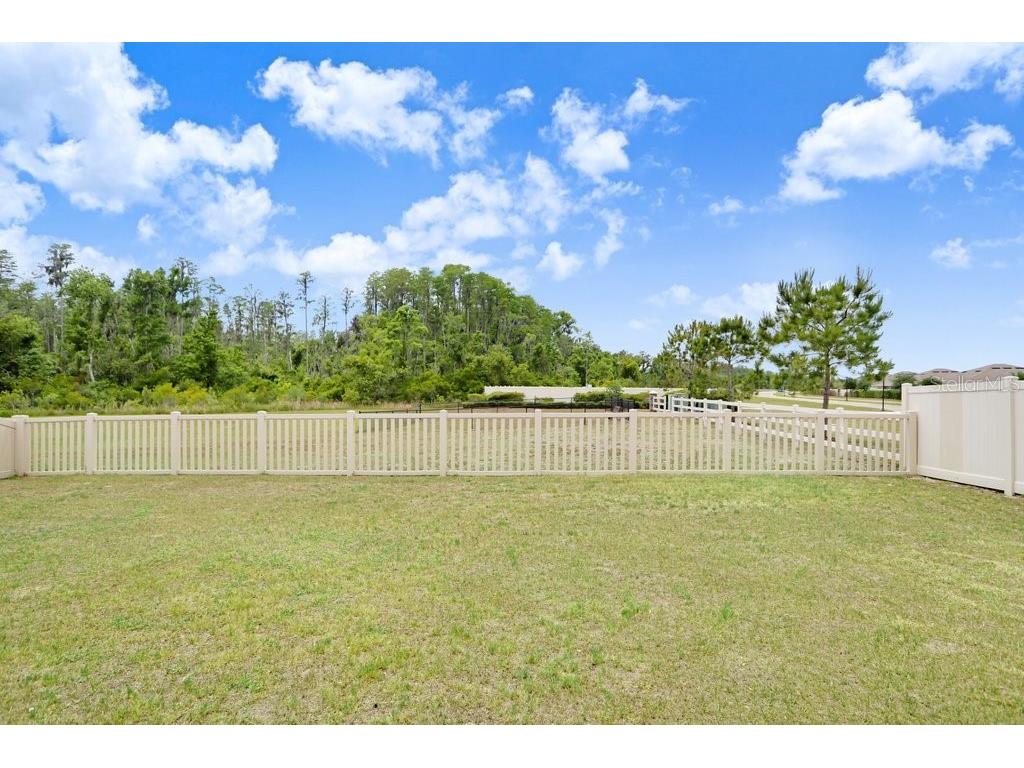 10677 Gliding Eagle Way Land O Lakes FL 34638 TB8507706 image26