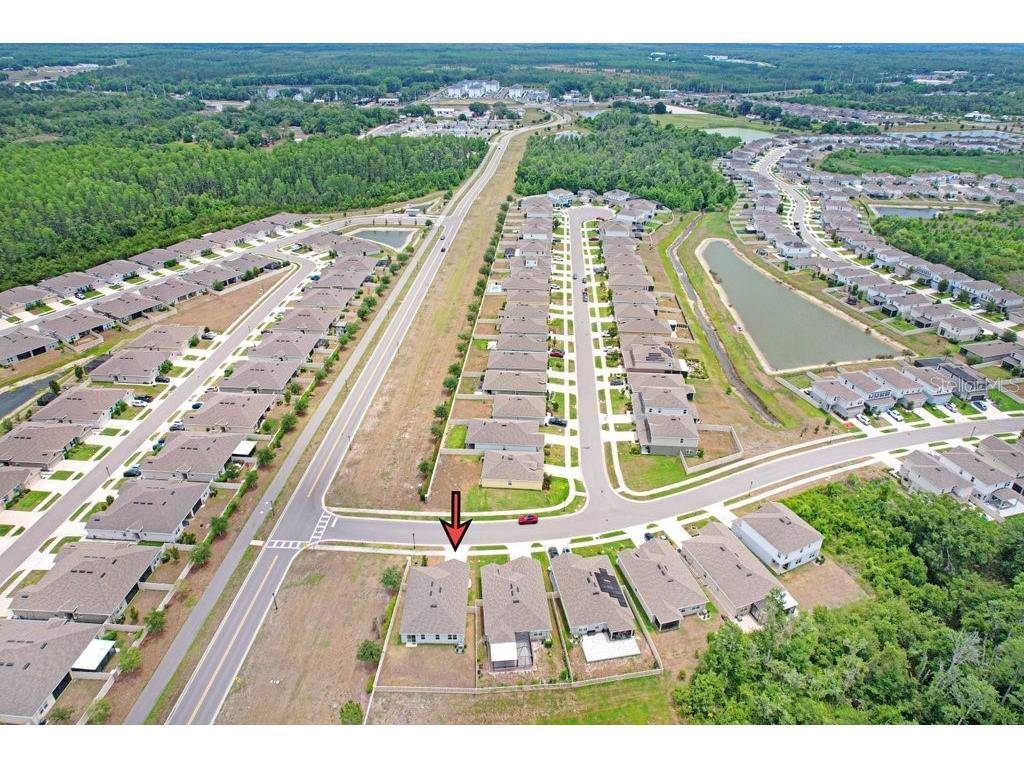 10677 Gliding Eagle Way Land O Lakes FL 34638 TB8507706 image29