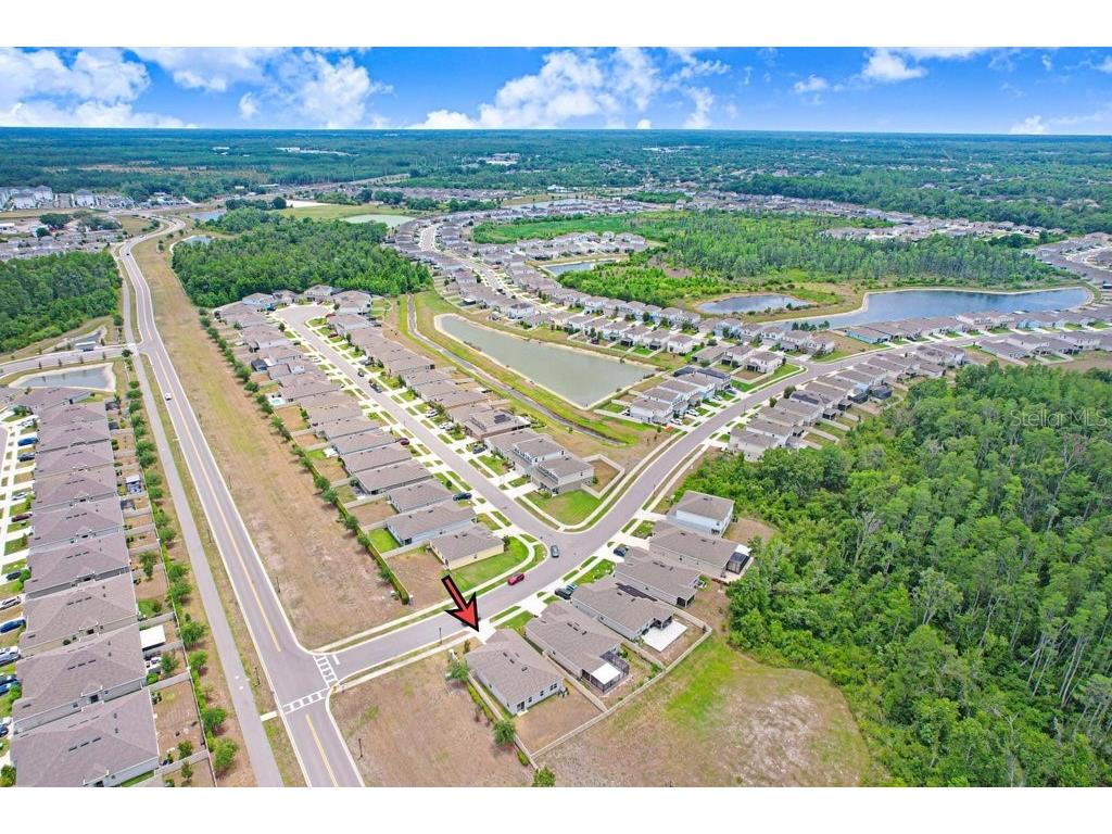 10677 Gliding Eagle Way Land O Lakes FL 34638 TB8507706 image30