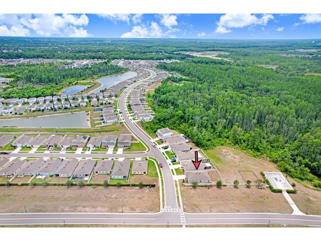 10677 Gliding Eagle Way Land O Lakes FL 34638 TB8507706 image31