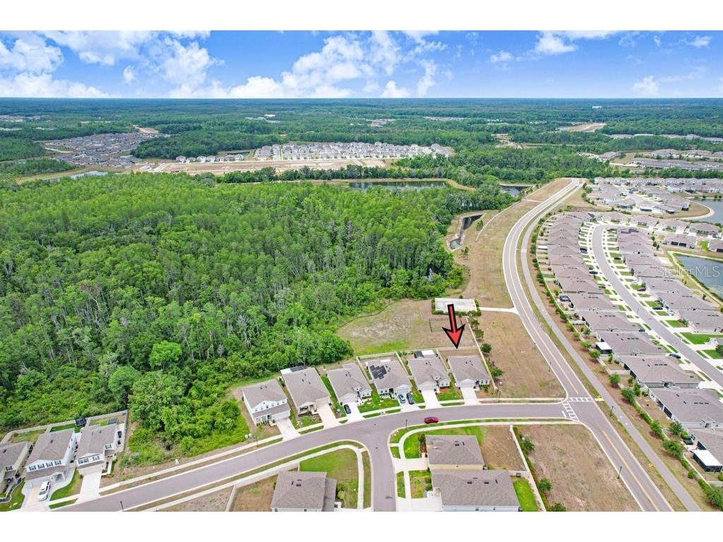 10677 Gliding Eagle Way Land O Lakes FL 34638 TB8507706 image32