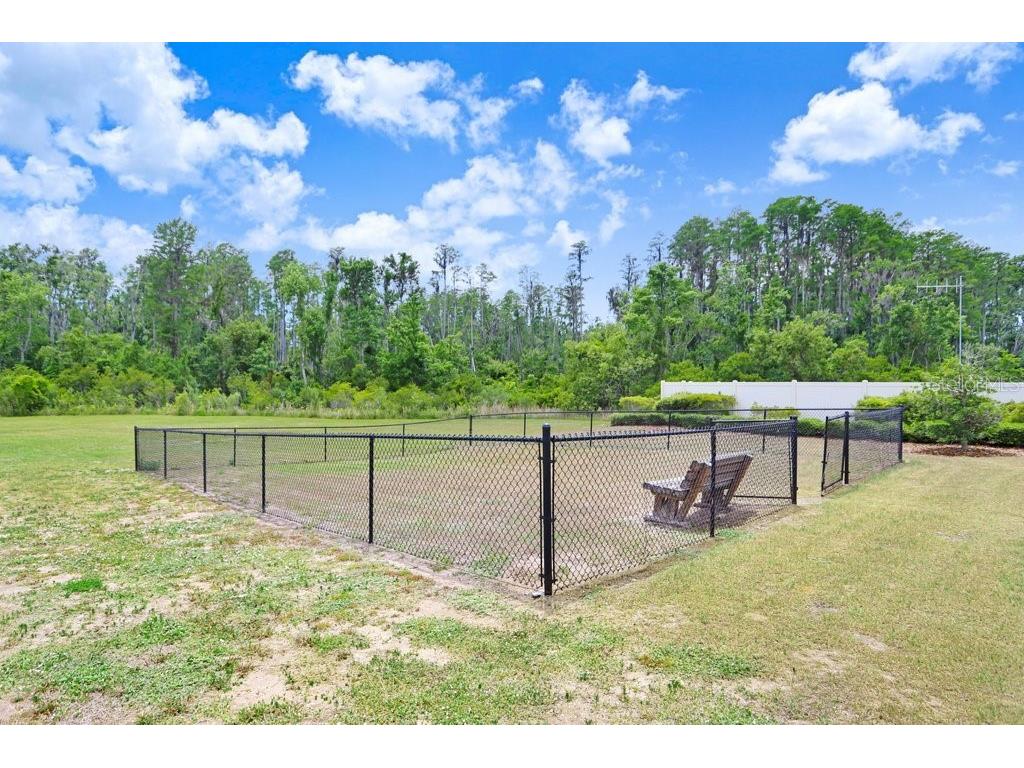 10677 Gliding Eagle Way Land O Lakes FL 34638 TB8507706 image33