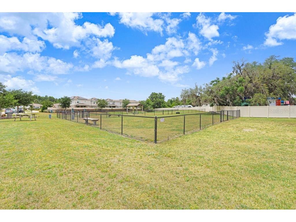 10677 Gliding Eagle Way Land O Lakes FL 34638 TB8507706 image34