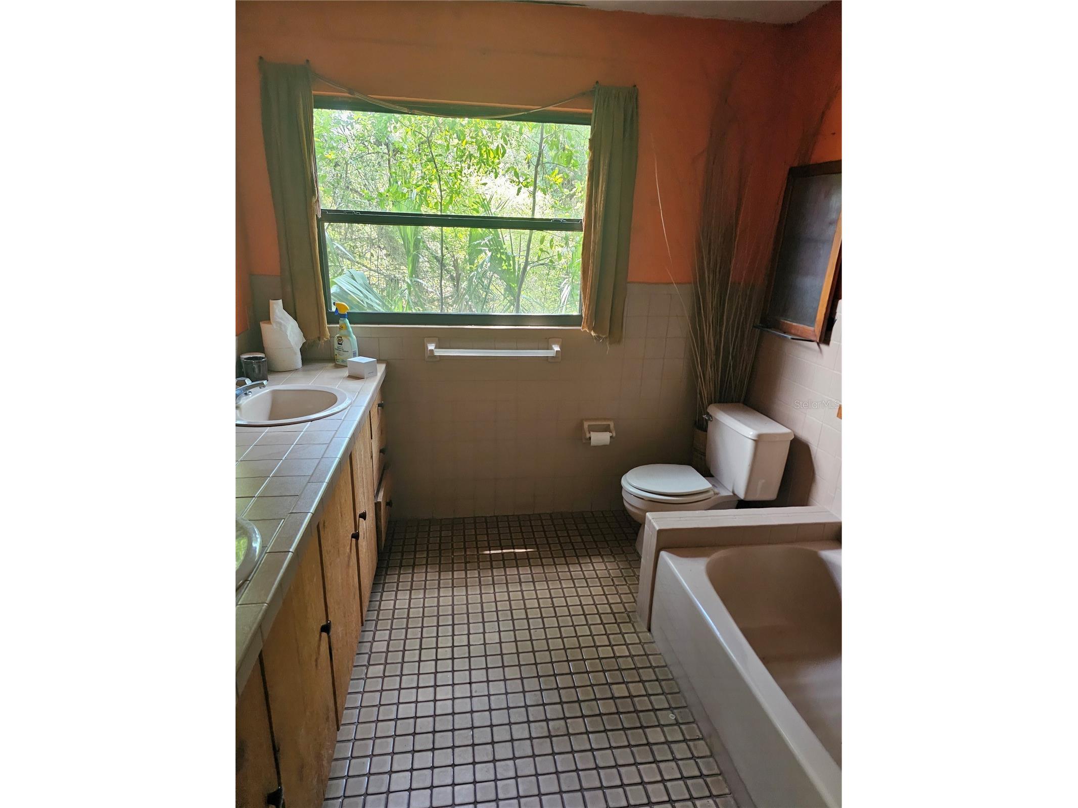 10679 Goose Prairie Road Leesburg FL 34788 - LAKE YALE EMERALDA MARSH G5112418 image18