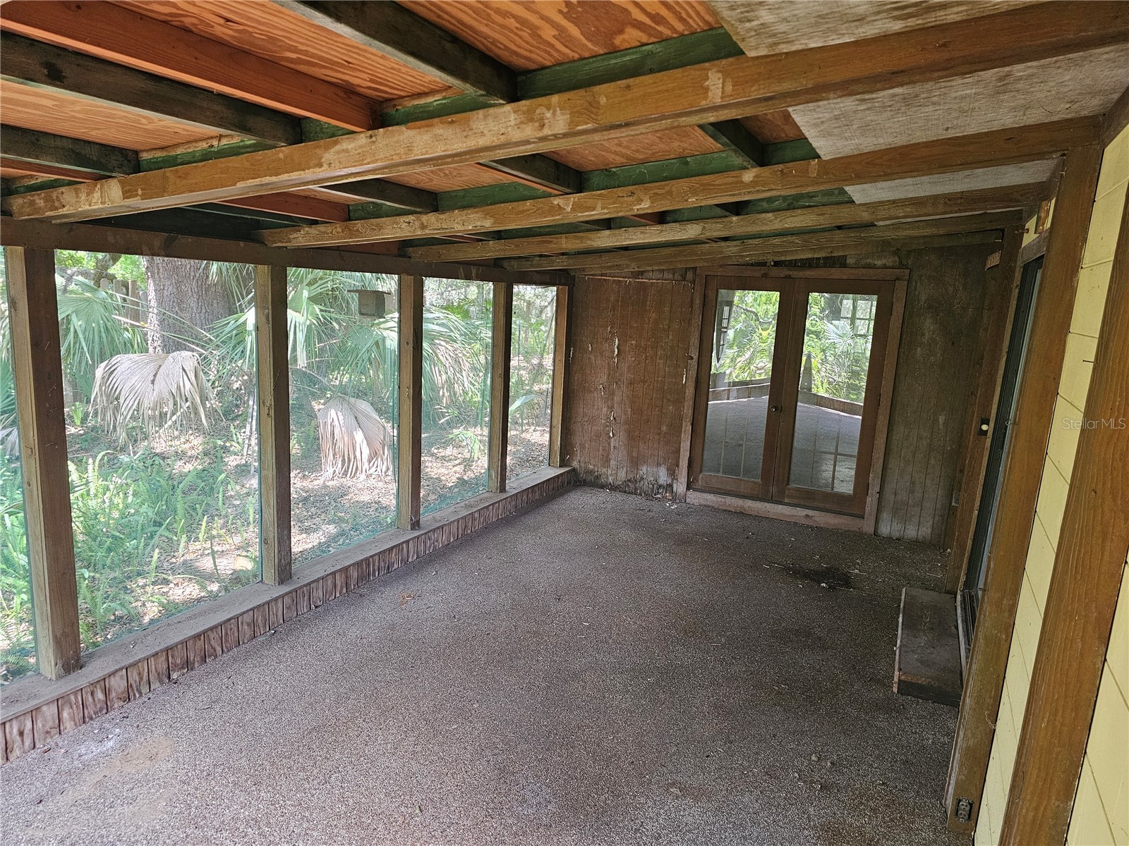 10679 Goose Prairie Road Leesburg FL 34788 - LAKE YALE EMERALDA MARSH G5112418 image20
