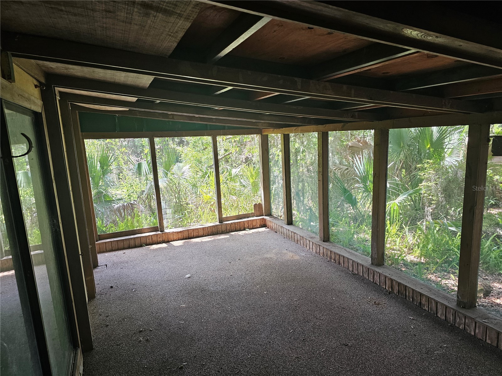 10679 Goose Prairie Road Leesburg FL 34788 - LAKE YALE EMERALDA MARSH G5112418 image21