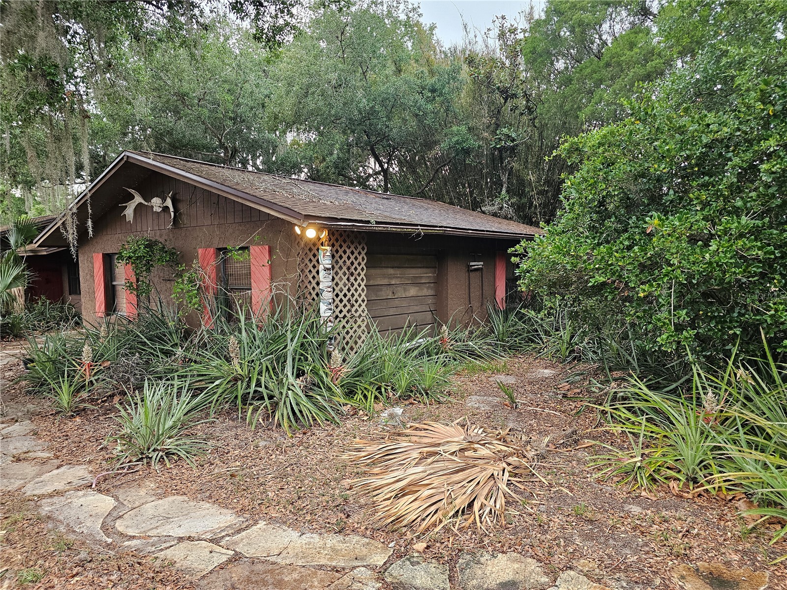 10679 Goose Prairie Road Leesburg FL 34788 - LAKE YALE EMERALDA MARSH G5112418 image5