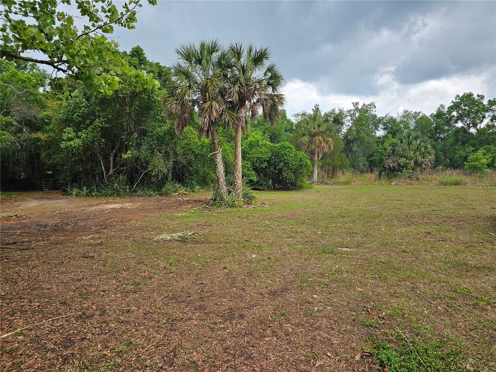 10679 Goose Prairie Road Leesburg FL 34788 - LAKE YALE EMERALDA MARSH G5112418 image6