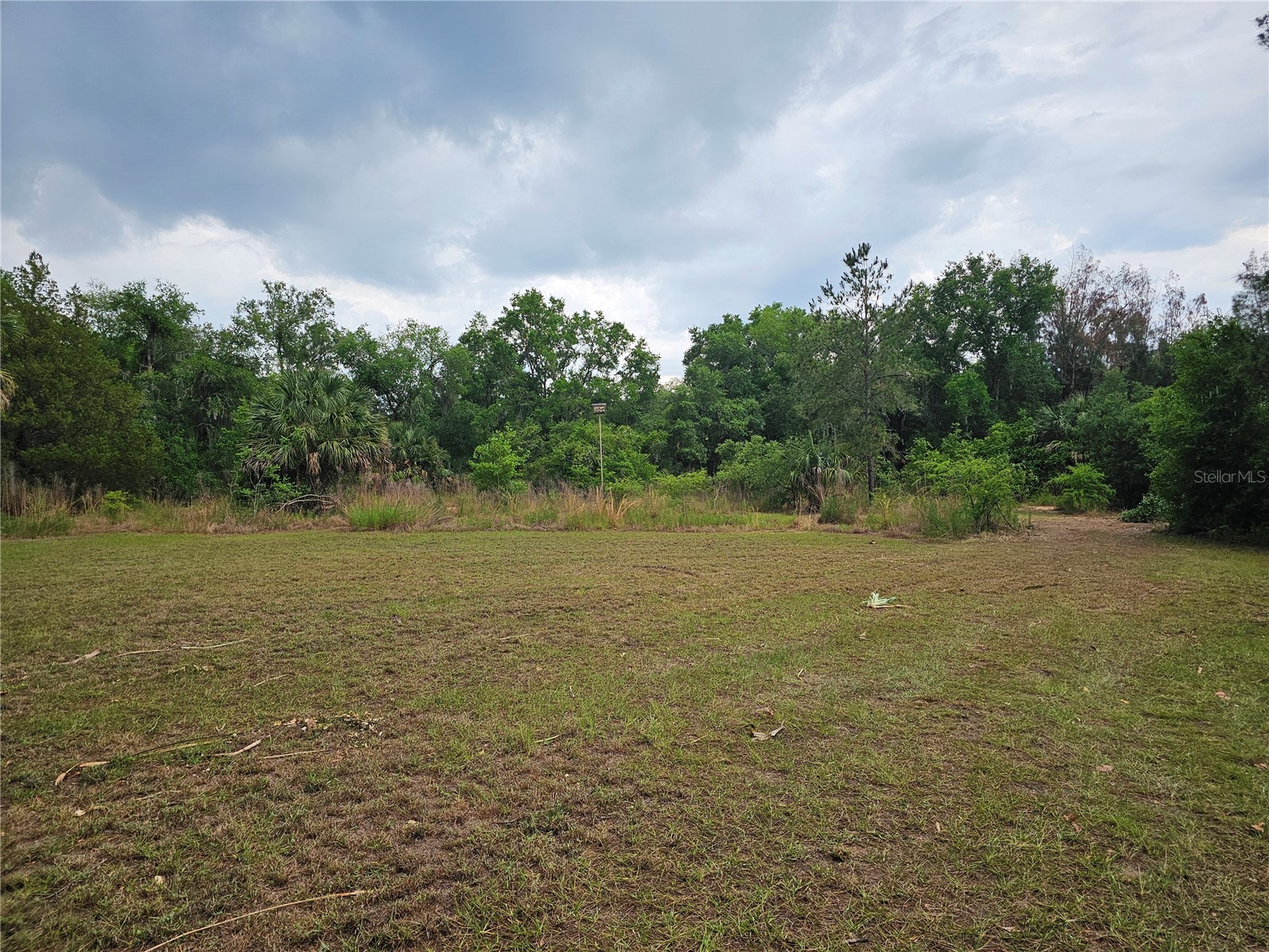 10679 Goose Prairie Road Leesburg FL 34788 - LAKE YALE EMERALDA MARSH G5112418 image7