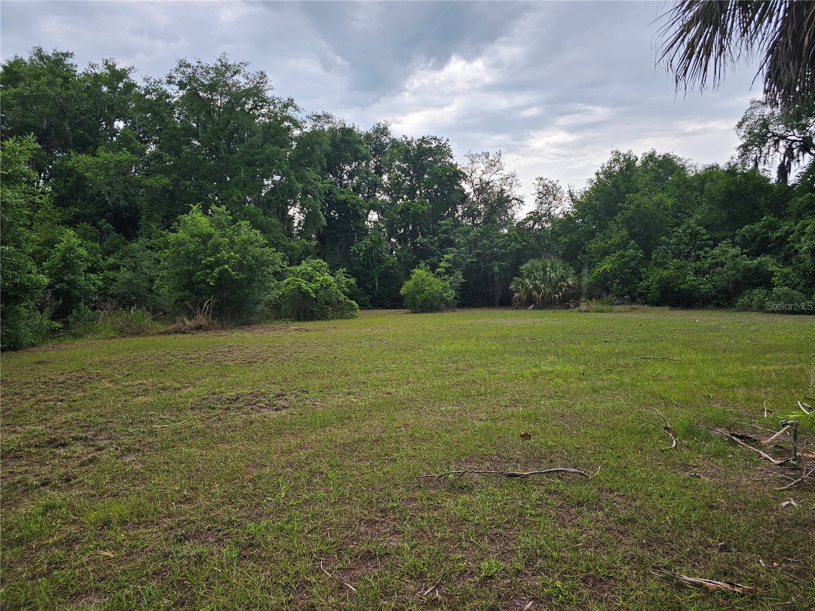 10679 Goose Prairie Road Leesburg FL 34788 - LAKE YALE EMERALDA MARSH G5112418 image8