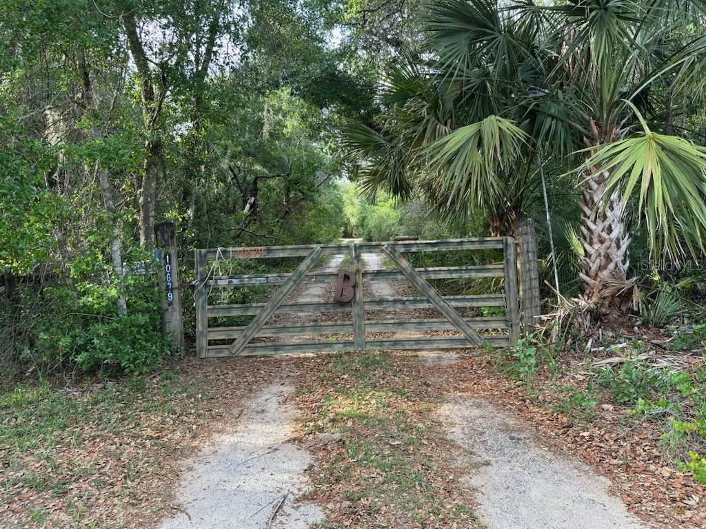 10679 Goose Prairie Road Leesburg FL 34788 - LAKE YALE EMERALDA MARSH G5112418 image9