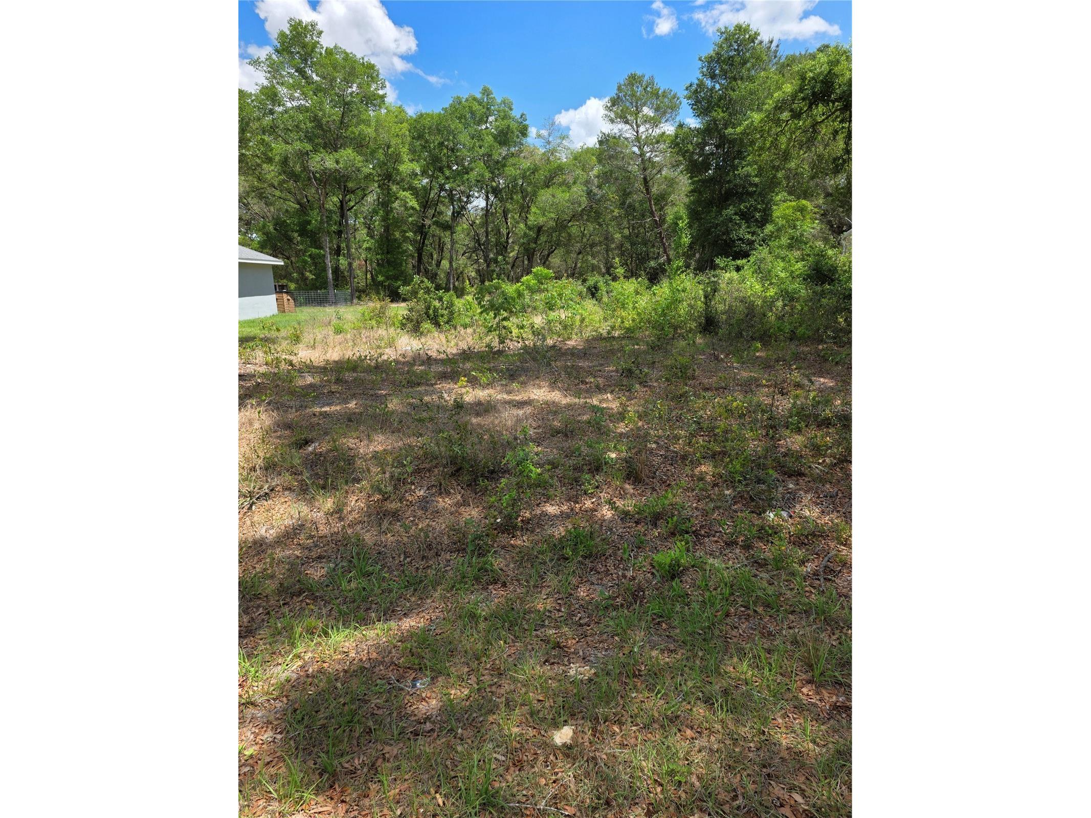 10679 SW 110th Court Dunnellon FL 34432 OM723426 image1