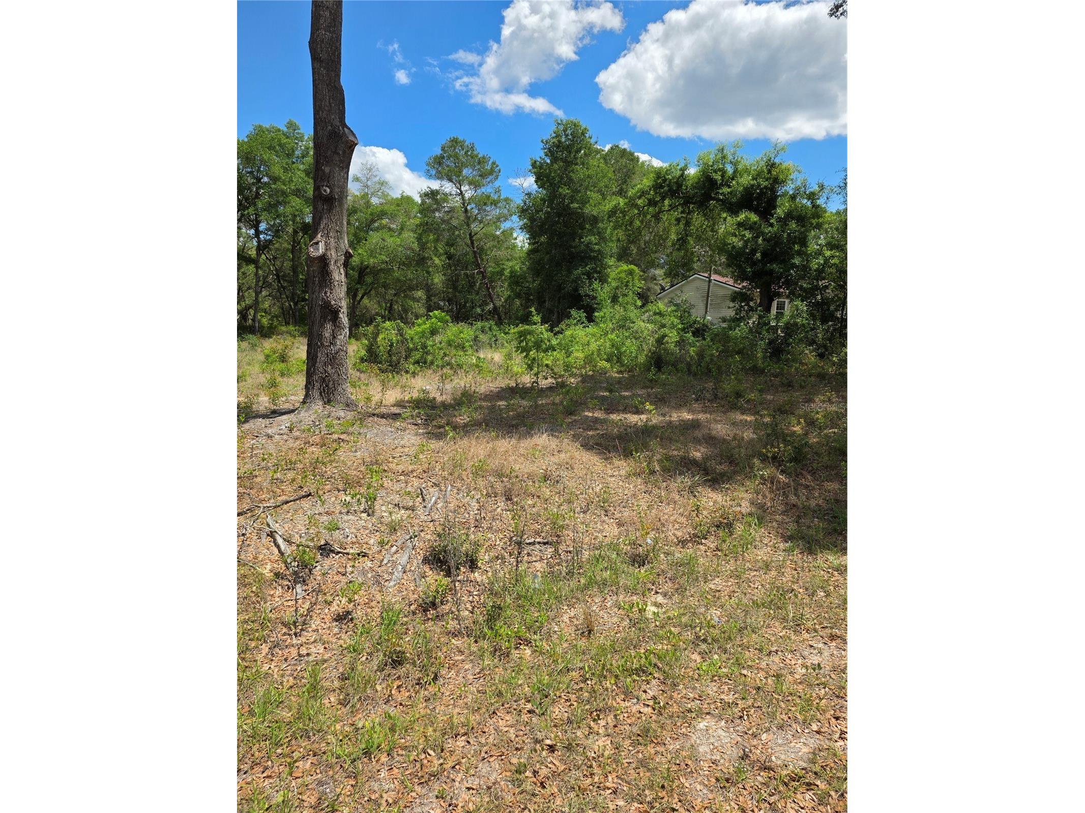 10679 SW 110th Court Dunnellon FL 34432 OM723426 image4