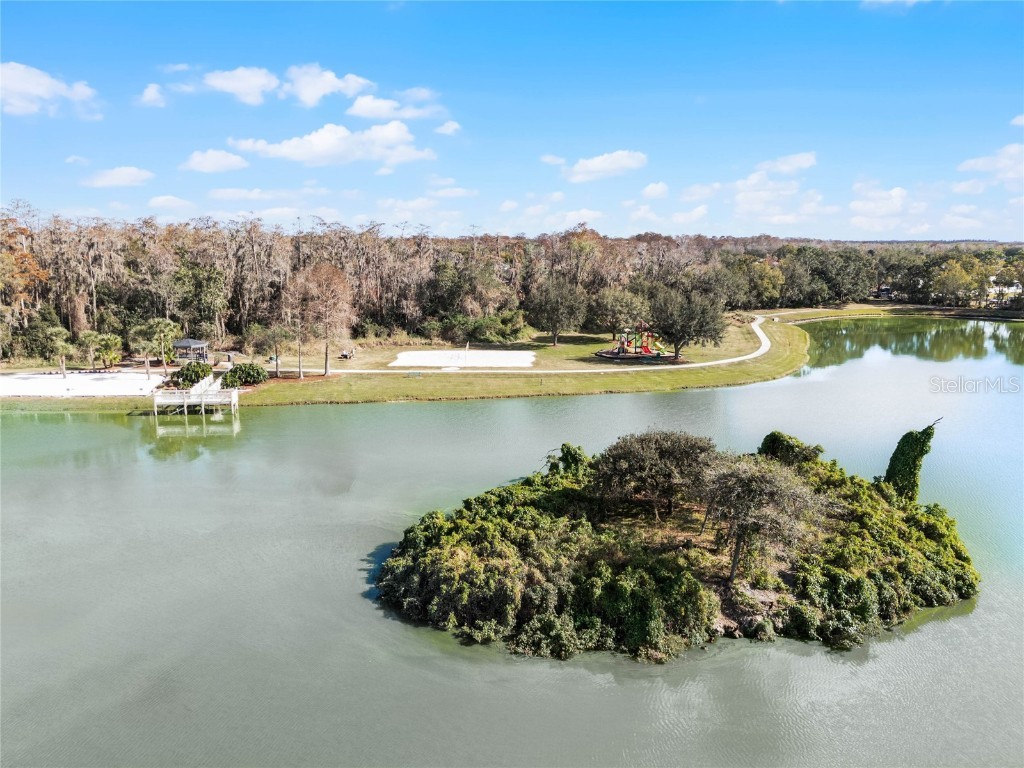 1068 Park Ridge Circle Kissimmee FL 34746 O6275499 image19