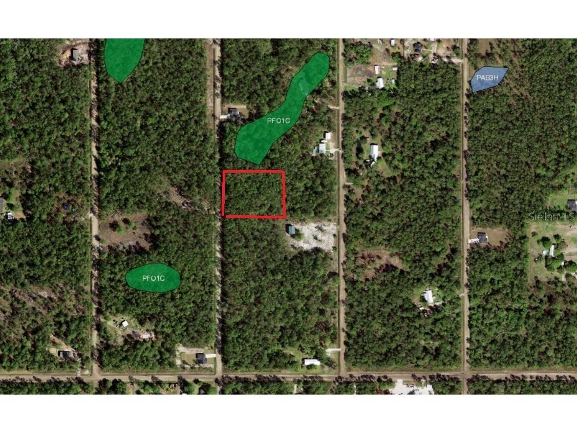 10680 Delgado Avenue Hastings FL 32145 FC305663 image1