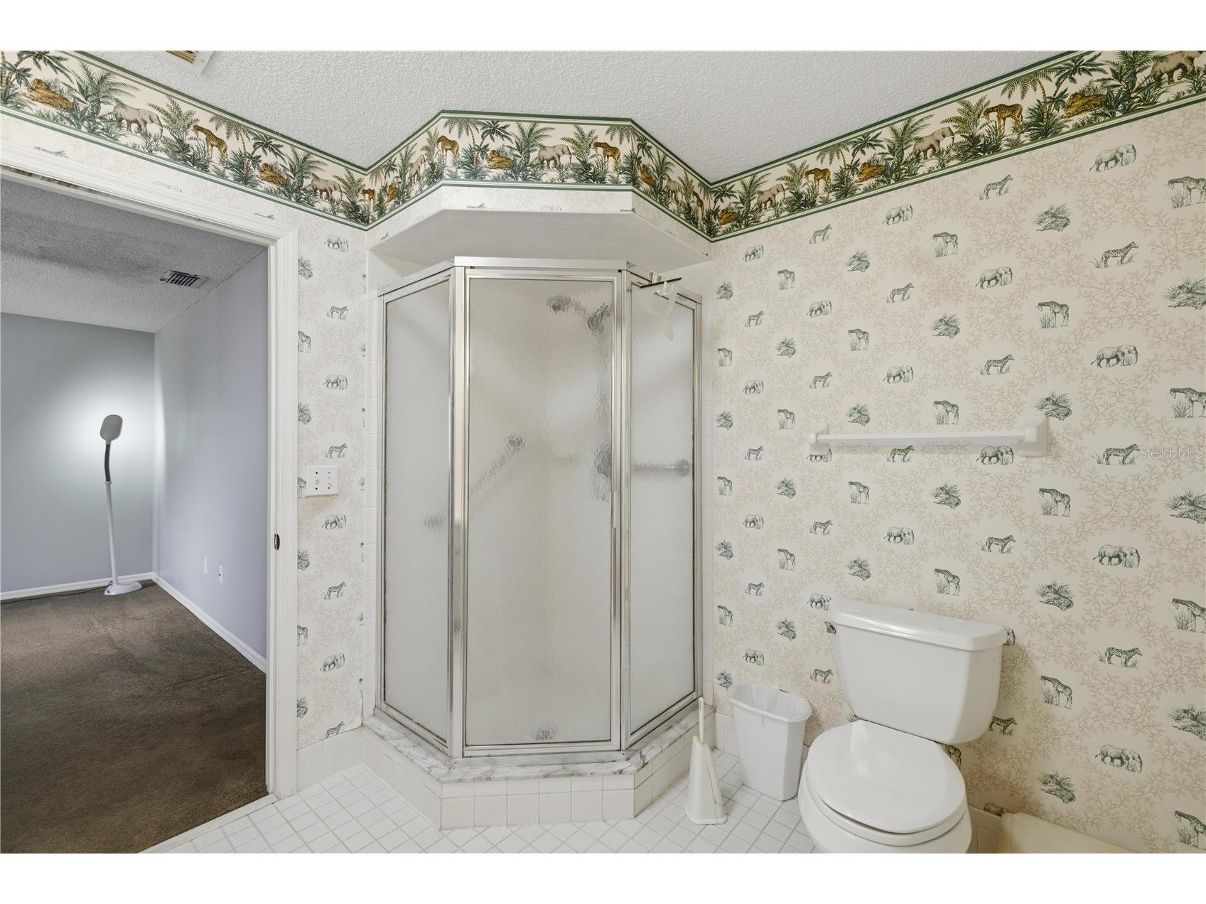 10683 SE 174th Loop Summerfield FL 34491 G5109000 image19