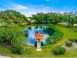 10683 SE 174th Loop Summerfield FL 34491 G5109000 image38