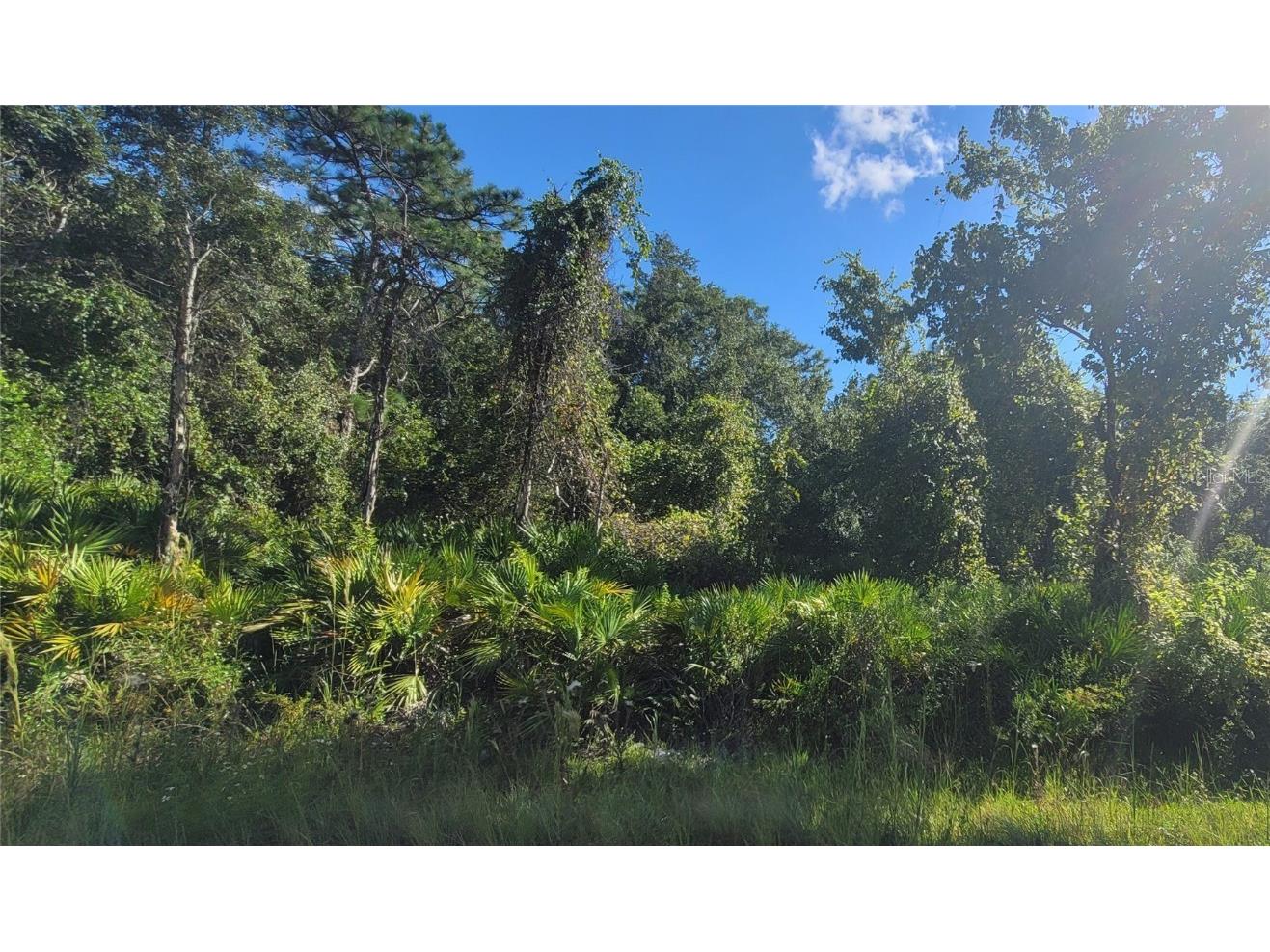 10684 Naper Street New Port Richey FL 34654 T3472860 image1