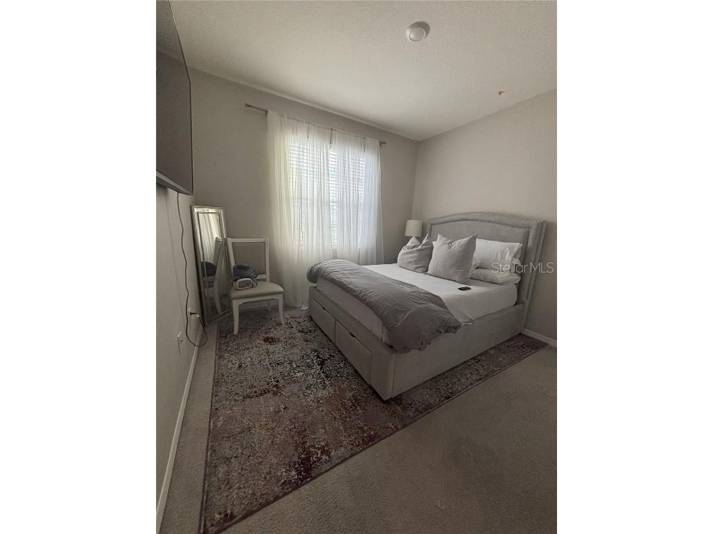 10684 Tally Fawn Loop San Antonio FL 33576 TB8432729 image11