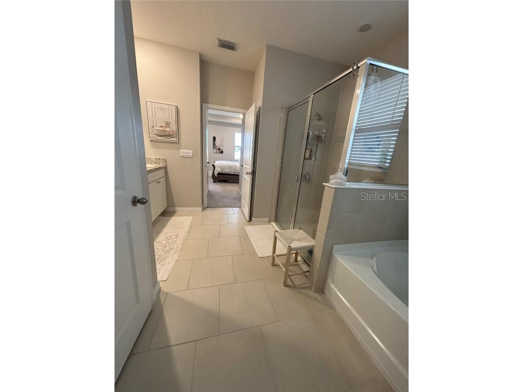 10684 Tally Fawn Loop San Antonio FL 33576 TB8432729 image14