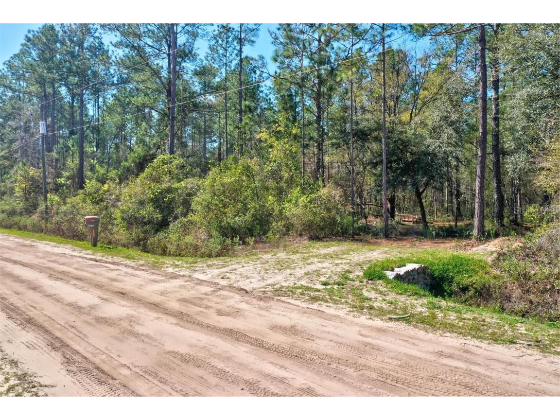 10685 Flikkema Avenue Hastings FL 32145 FC289448 image1