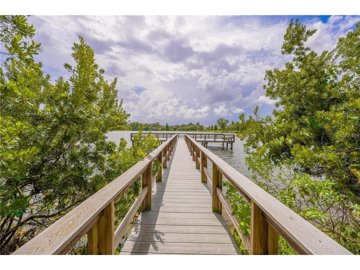 10685 Lake Montauk Drive Riverview FL 33578 TB8449898 image28