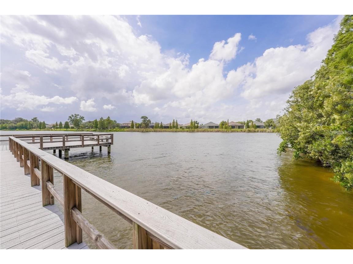10685 Lake Montauk Drive Riverview FL 33578 TB8449898 image29