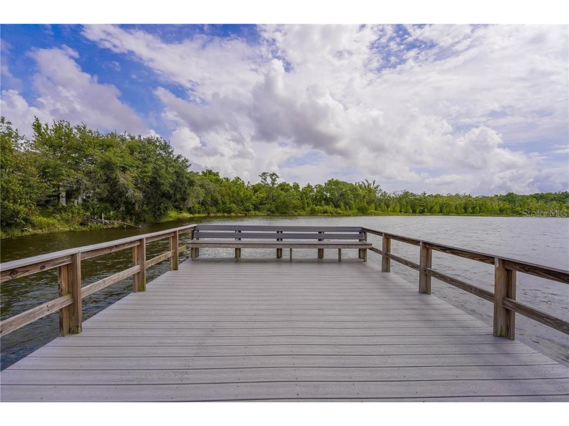 10685 Lake Montauk Drive Riverview FL 33578 TB8449898 image33