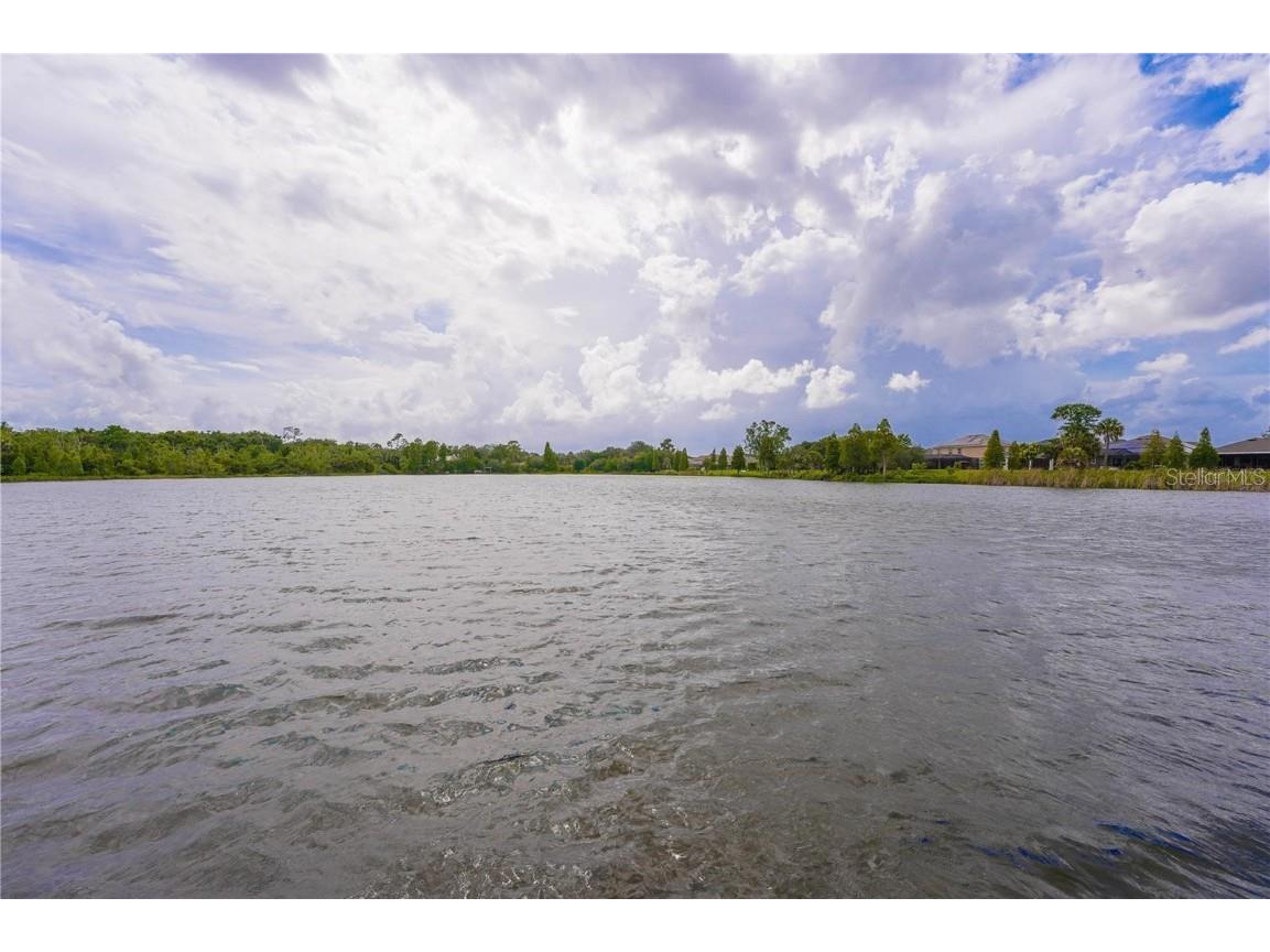 10685 Lake Montauk Drive Riverview FL 33578 TB8449898 image35