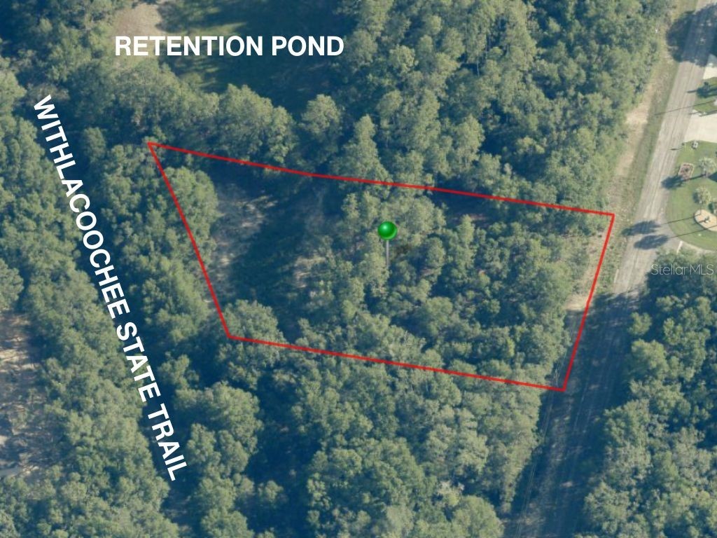 10686 N Ocean Drive Citrus Springs FL 34434 OM721449 image1