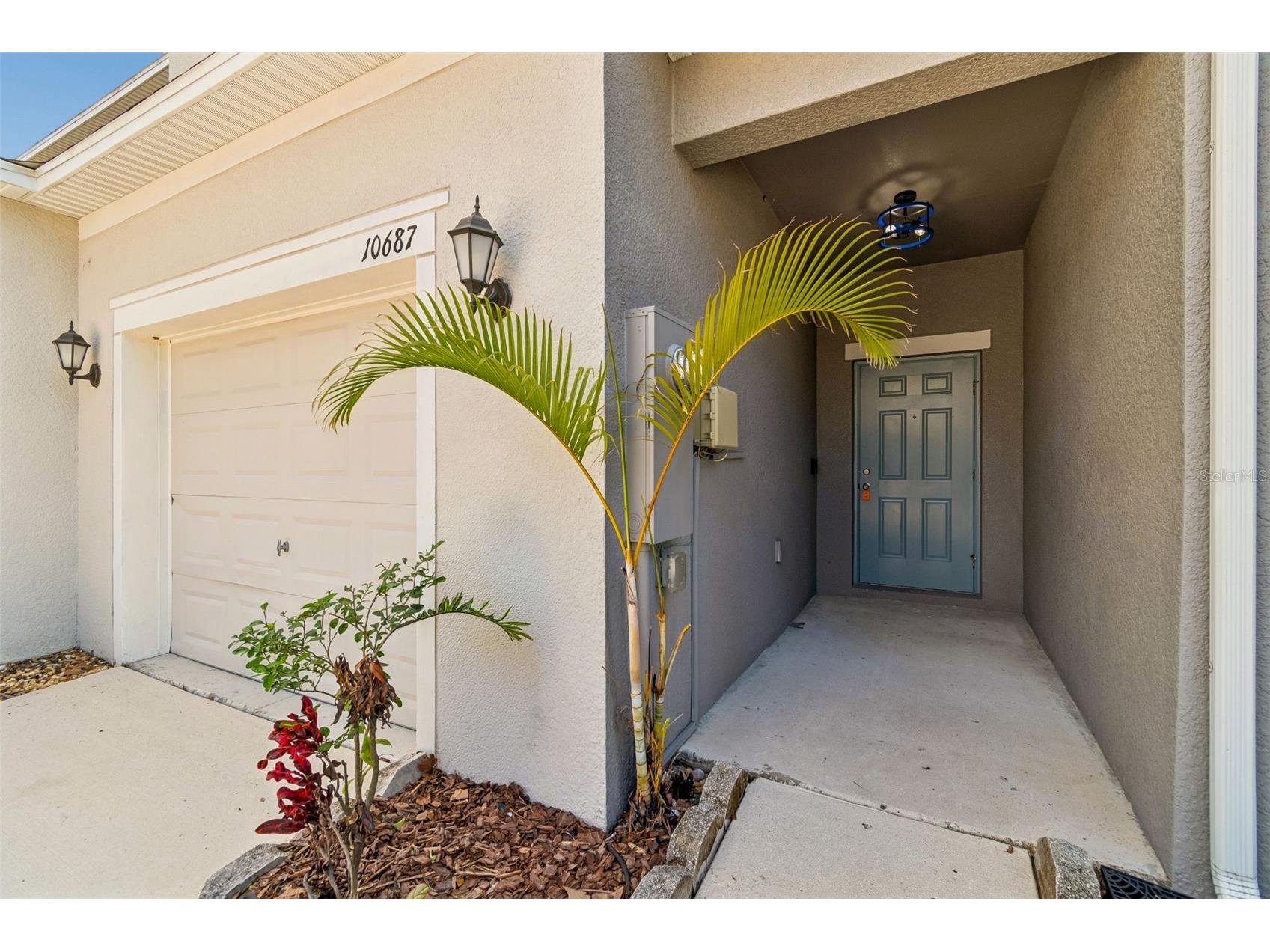 10687 Lake Montauk Drive Riverview FL 33578 TB8525942 image4