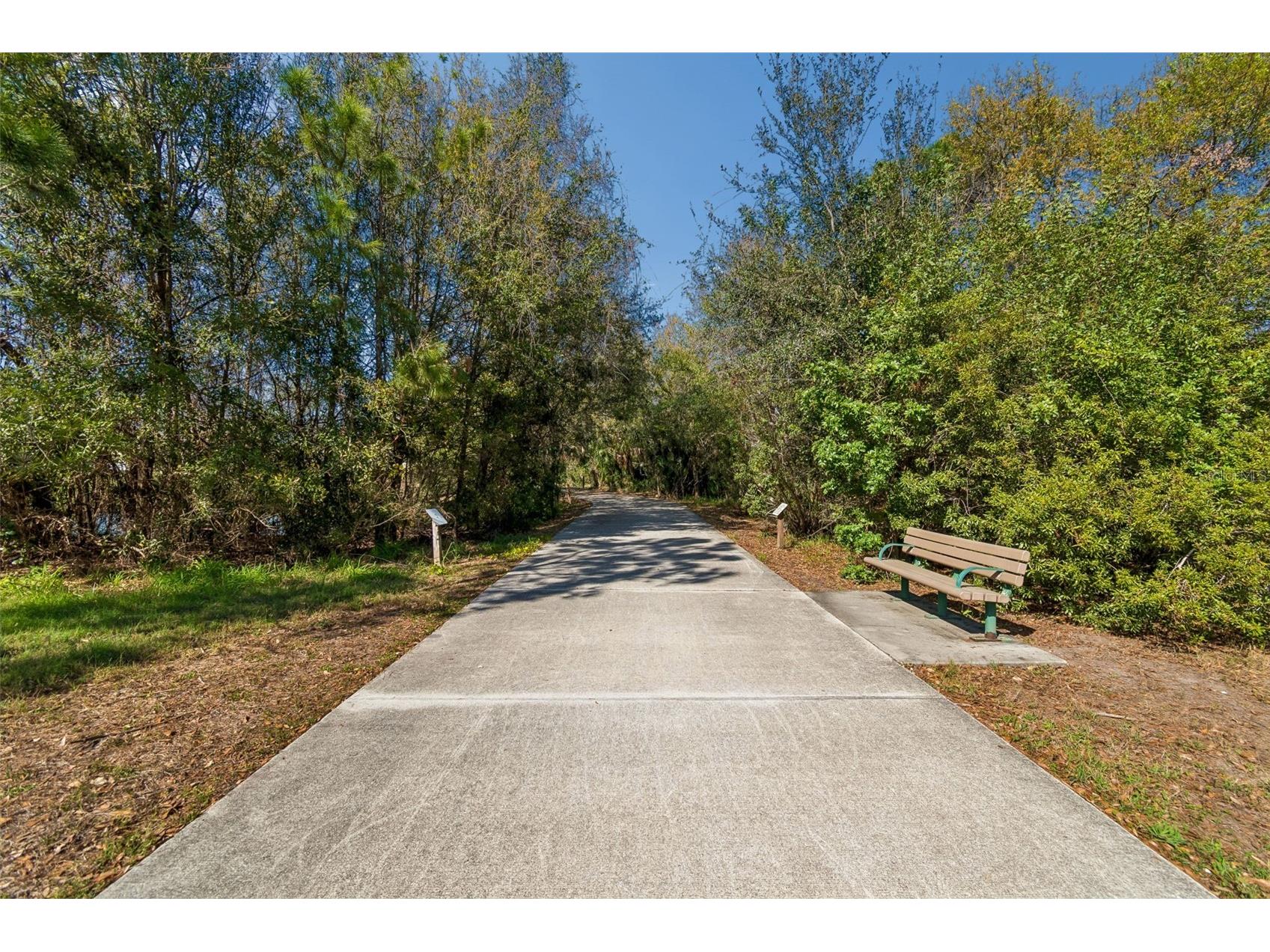 10687 Lake Montauk Drive Riverview FL 33578 TB8525942 image43