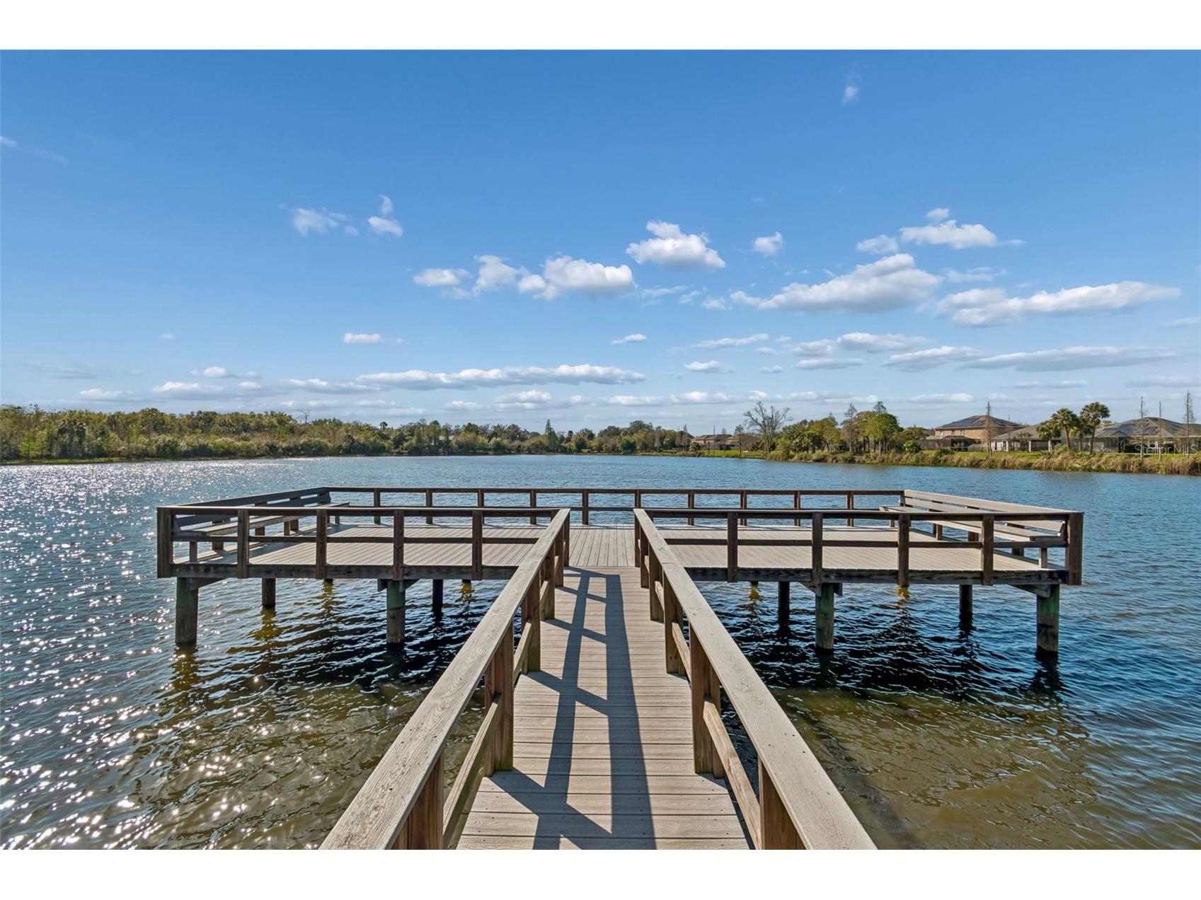 10687 Lake Montauk Drive Riverview FL 33578 TB8525942 image46