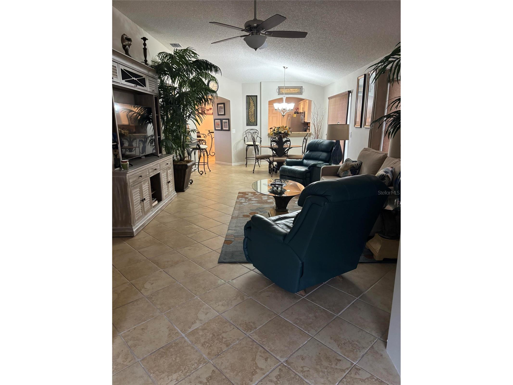1069 Burnettown Place The Villages FL 32162 O6373355 image12