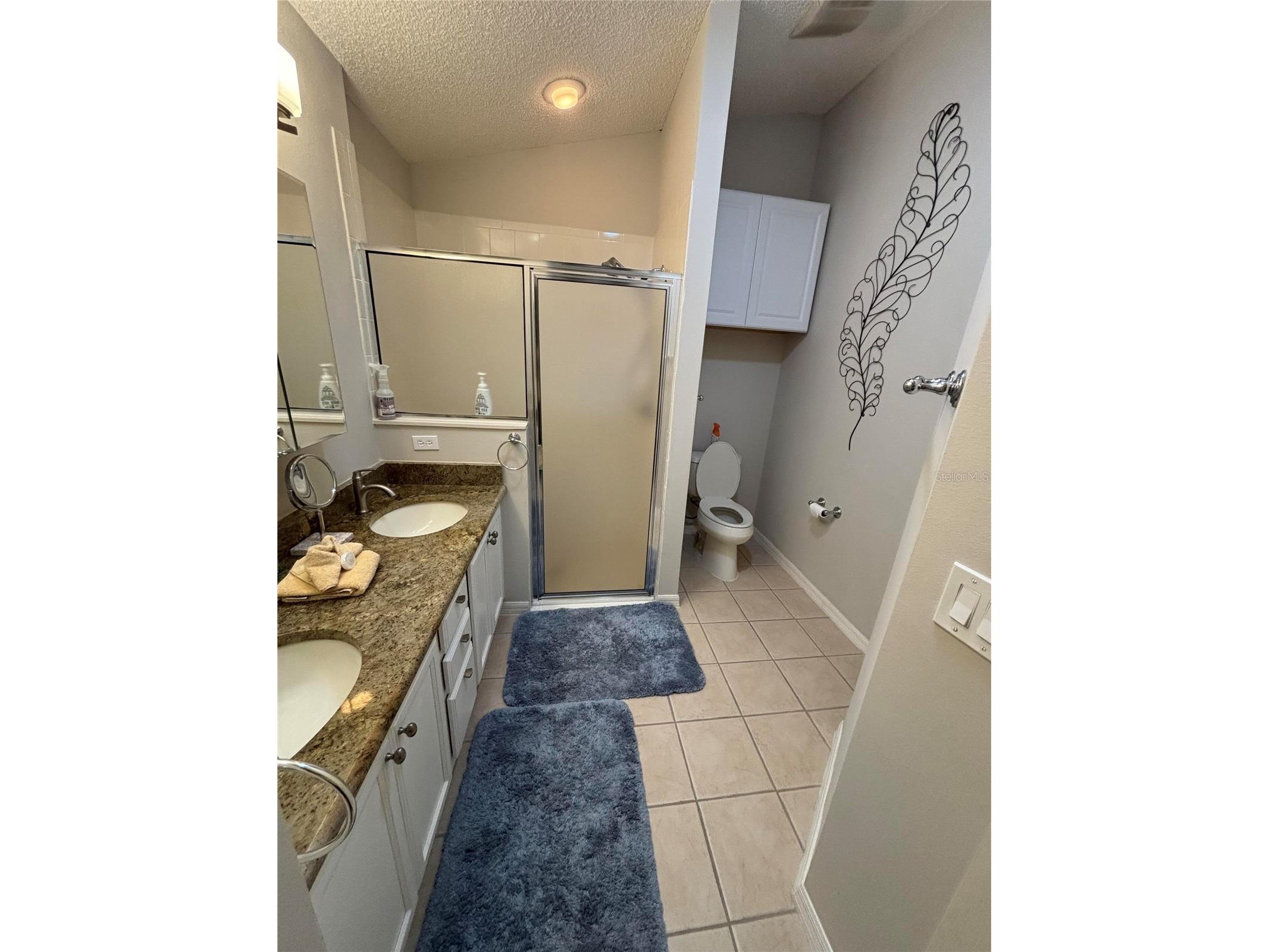 1069 Burnettown Place The Villages FL 32162 O6373355 image15