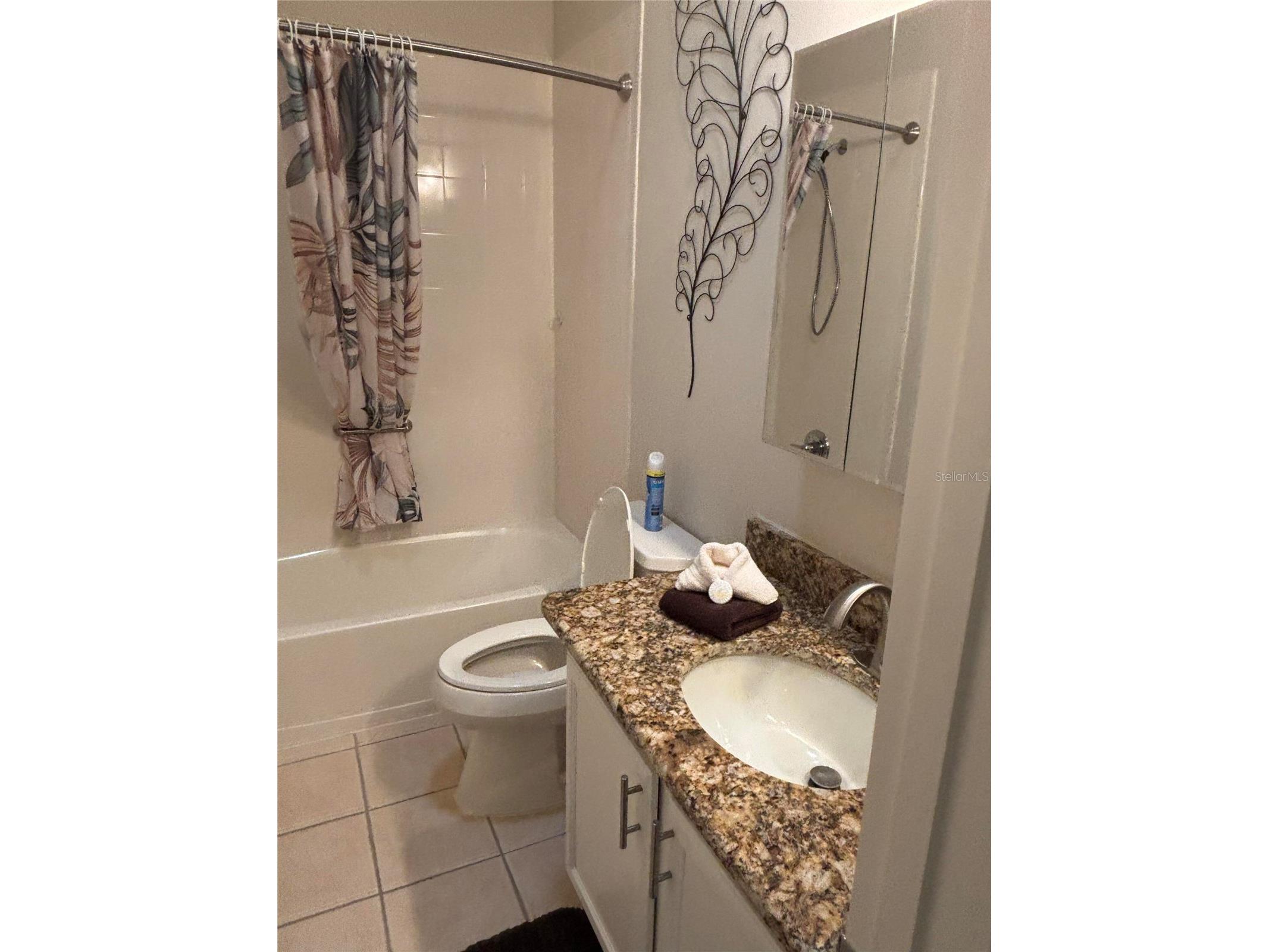 1069 Burnettown Place The Villages FL 32162 O6373355 image19
